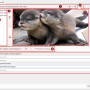 sigplus-filler-gui-ru.jpg